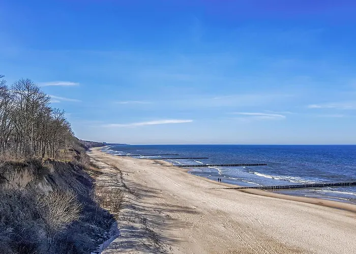 Awesome In With Wifi レバル